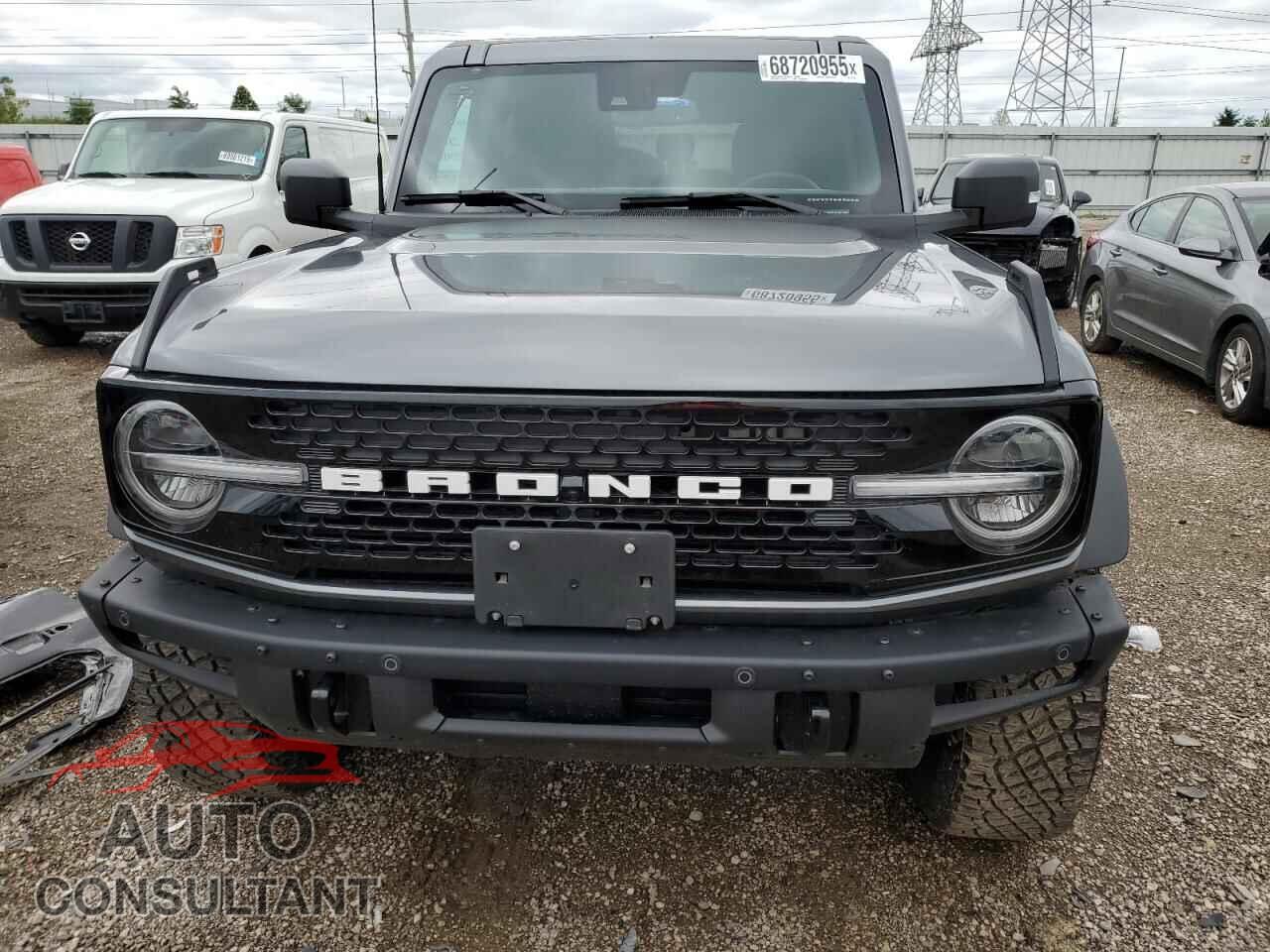FORD BRONCO WIL 2024 - 1FMEE2BP5RLA51160