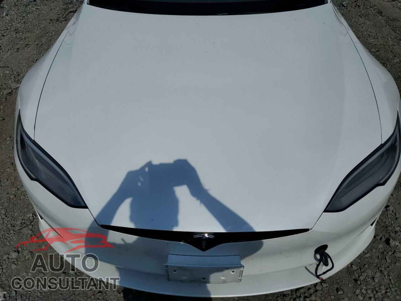 TESLA MODEL S 2021 - 5YJSA1E55MF435510