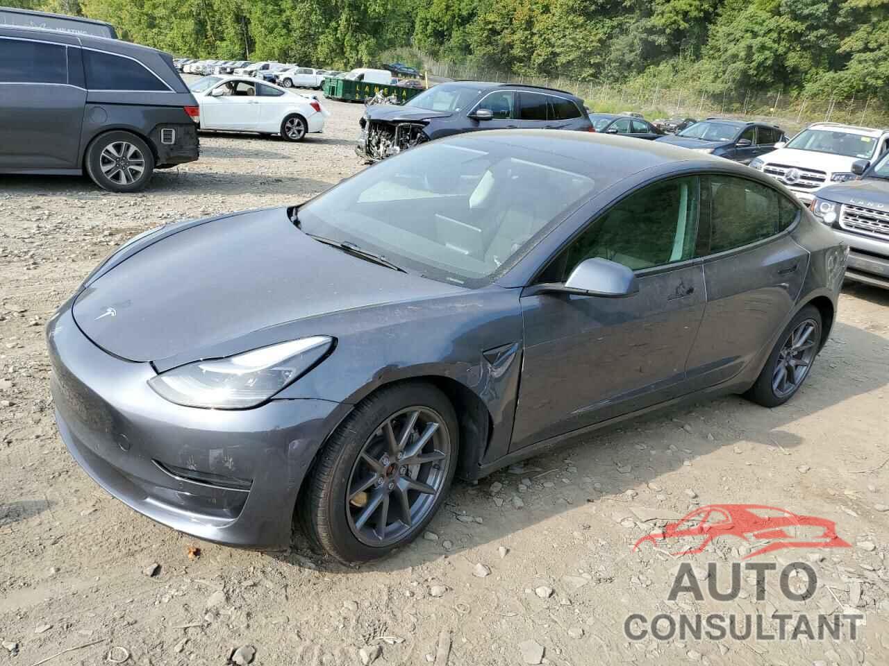 TESLA MODEL 3 2022 - 5YJ3E1EB2NF176328