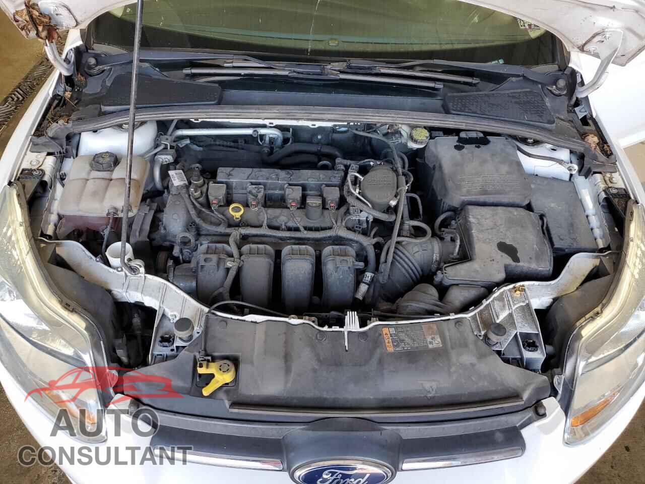 FORD FOCUS 2014 - 1FADP3E26EL446819