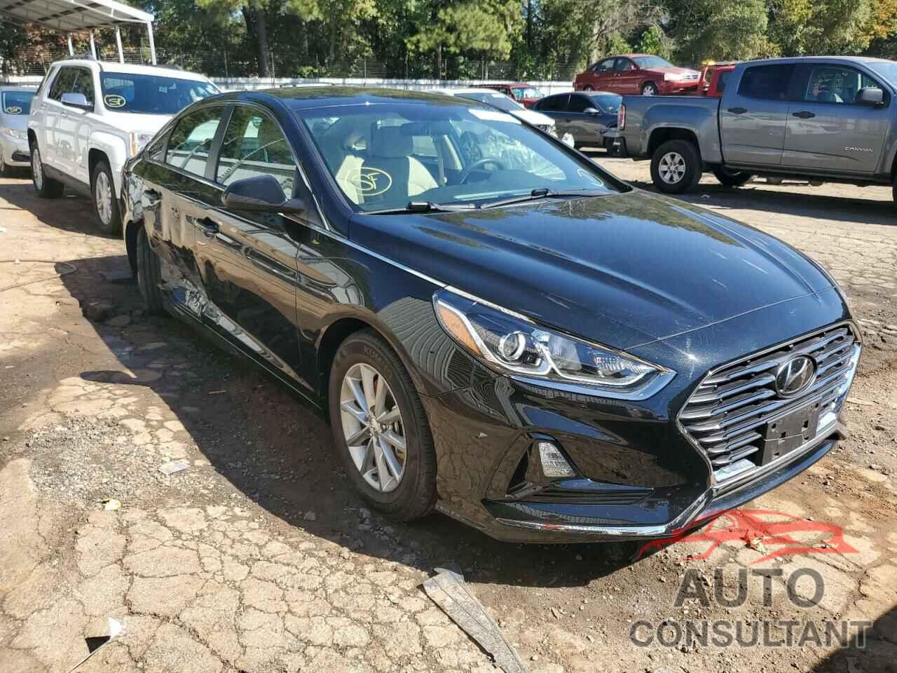 HYUNDAI SONATA 2019 - 5NPE24AF7KH763665