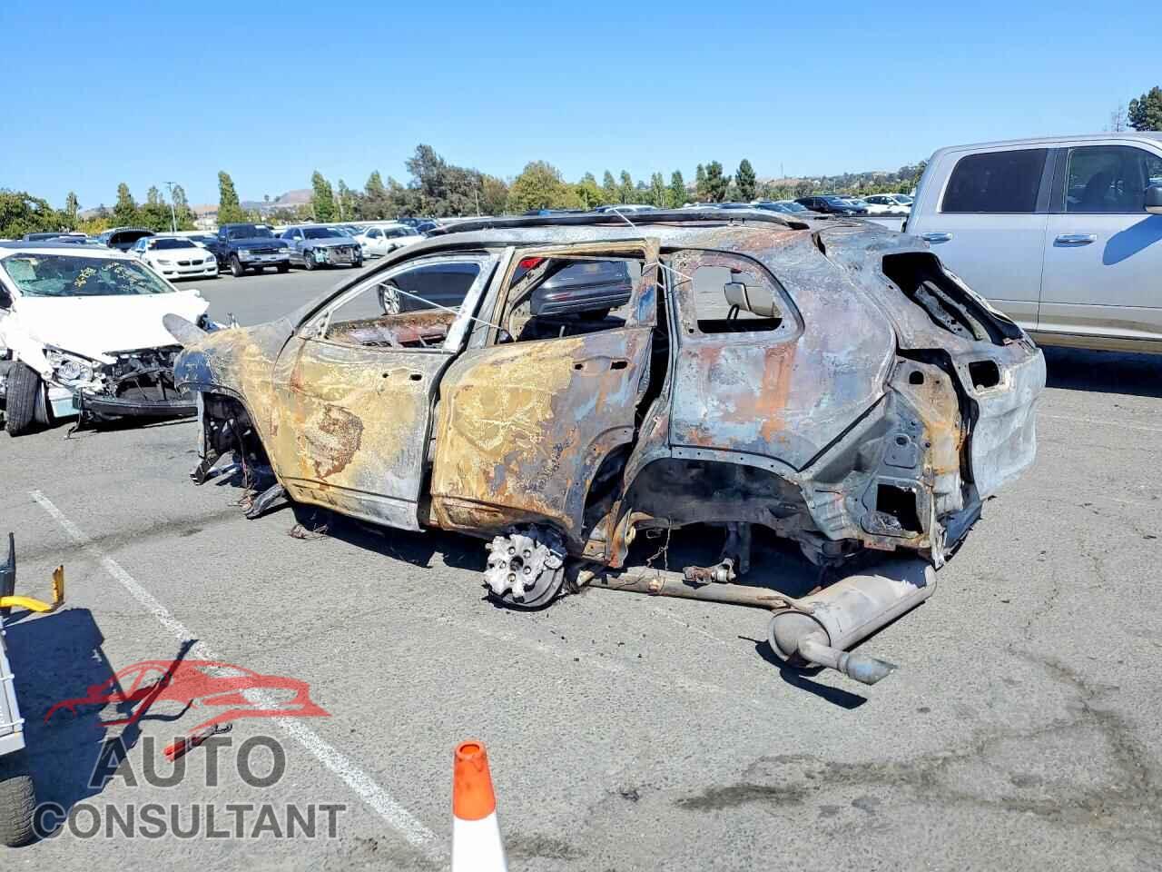 JEEP CHEROKEE 2014 - 1C4PJLDB9EW113118