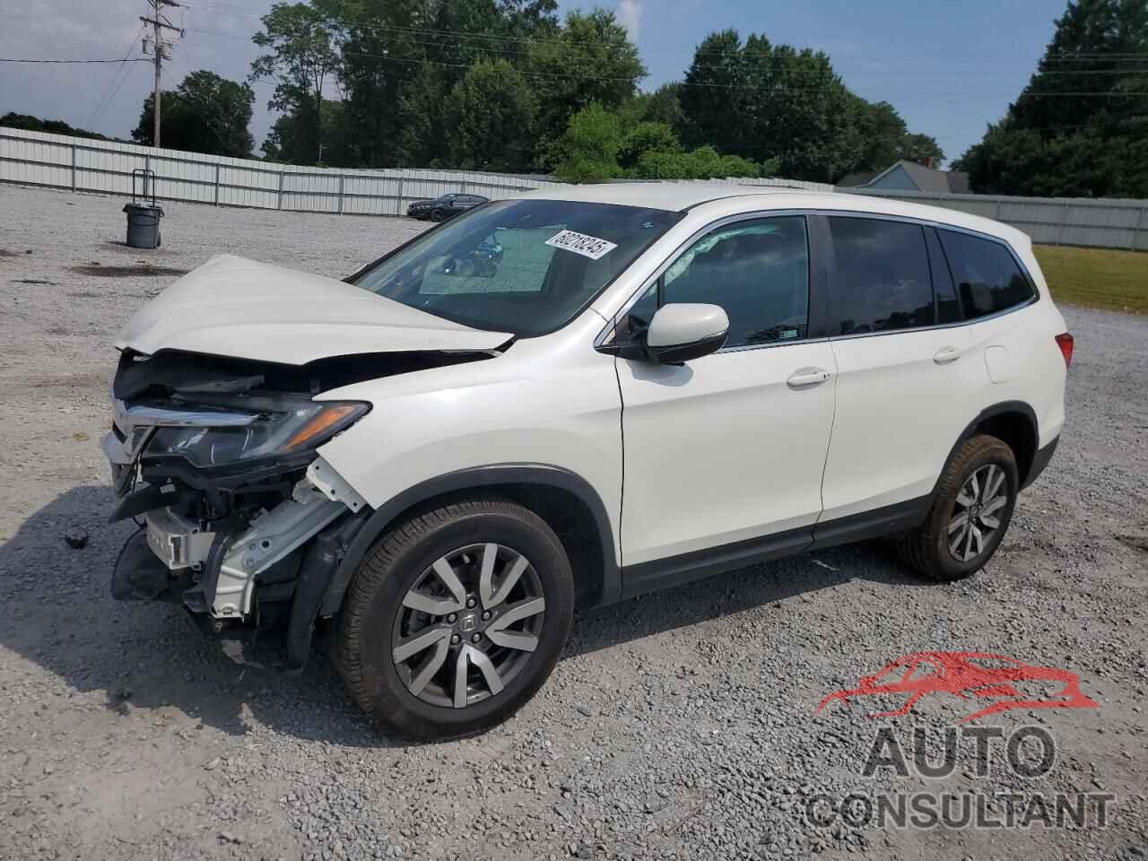 HONDA PILOT 2019 - 5FNYF6H30KB064997