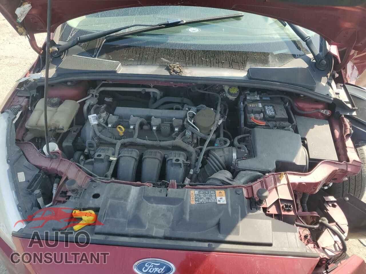 FORD FOCUS 2016 - 1FADP3K28GL264336