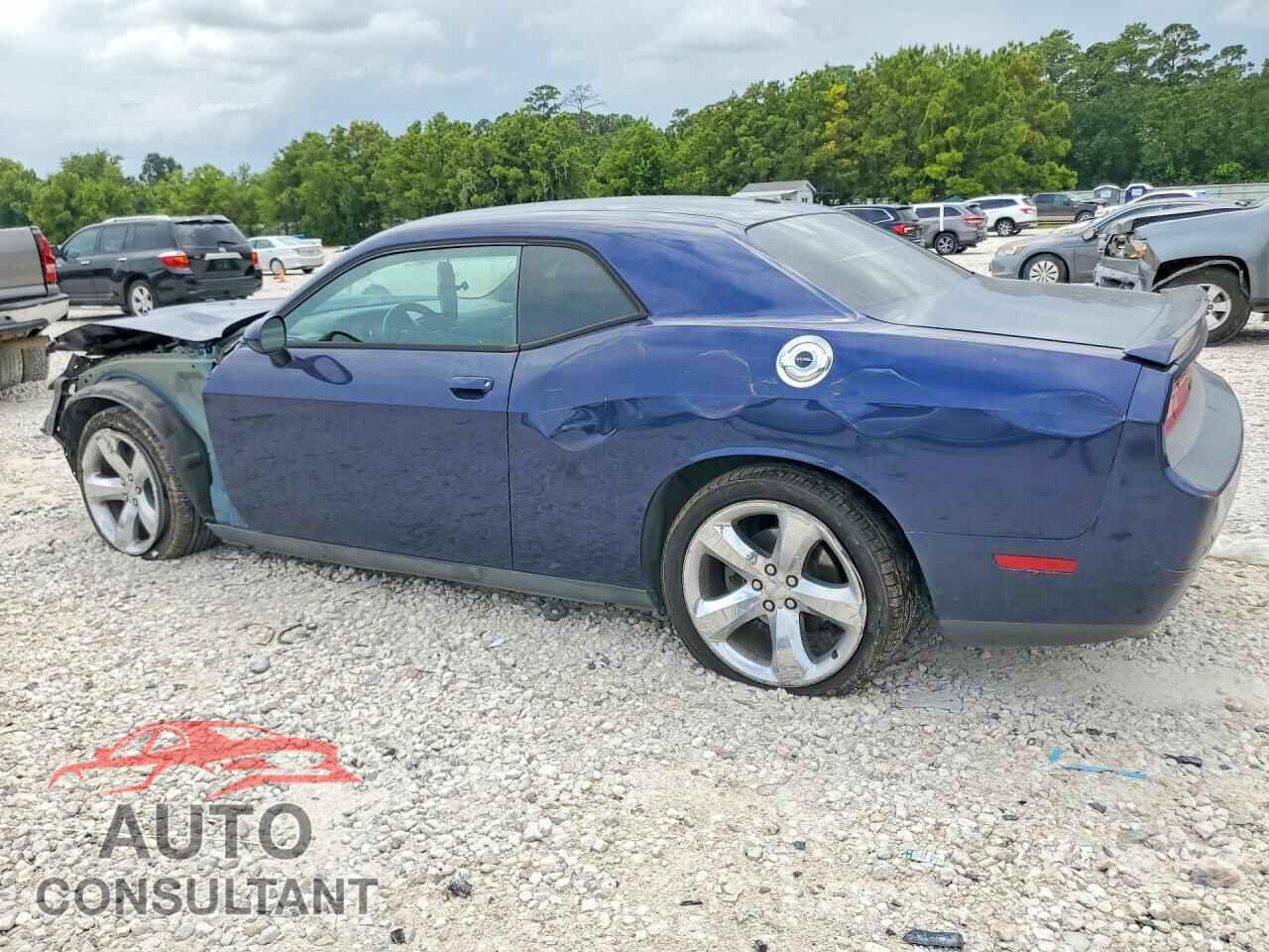DODGE CHALLENGER 2014 - 2C3CDYAG6EH213201