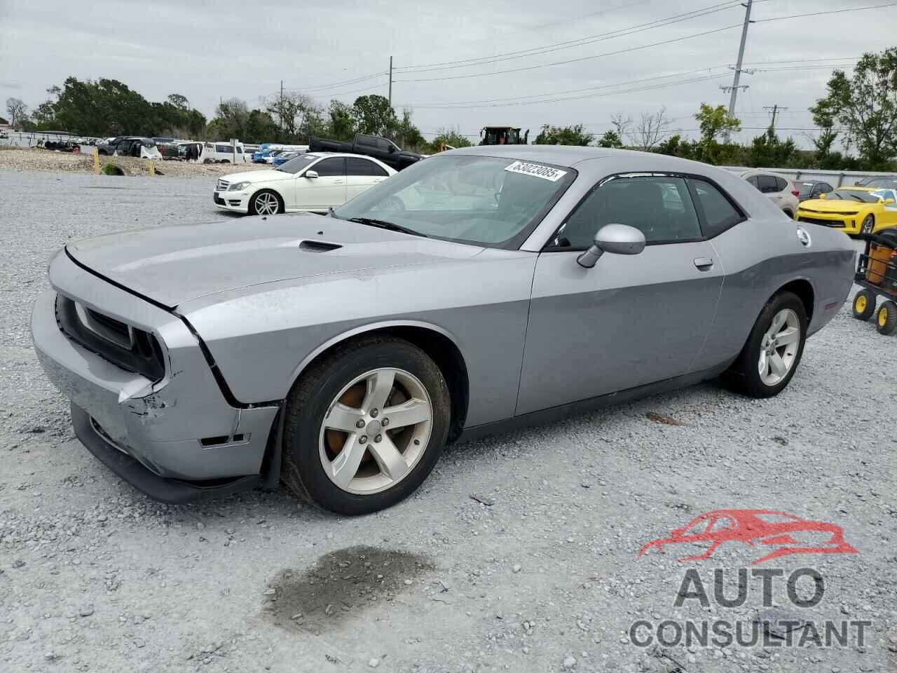 DODGE CHALLENGER 2014 - 2C3CDYAG4EH149594