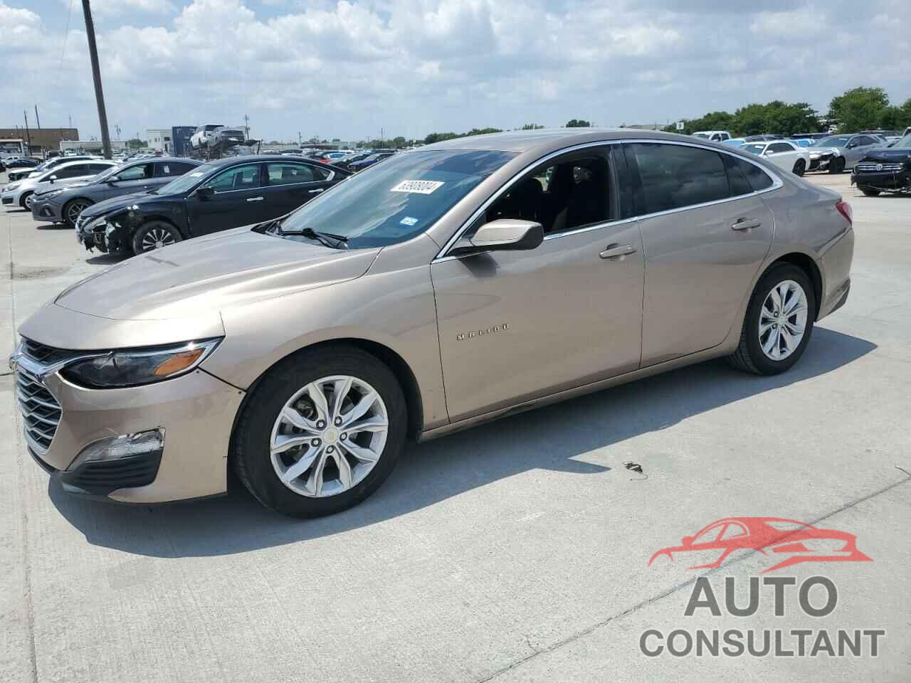 CHEVROLET MALIBU 2019 - 1G1ZD5ST7KF106552