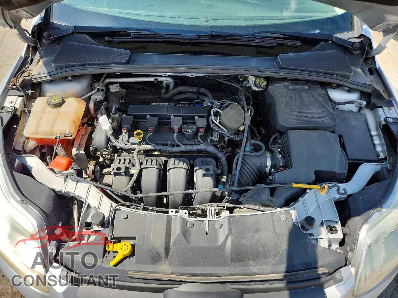 FORD FOCUS 2014 - 1FADP3F2XEL155111