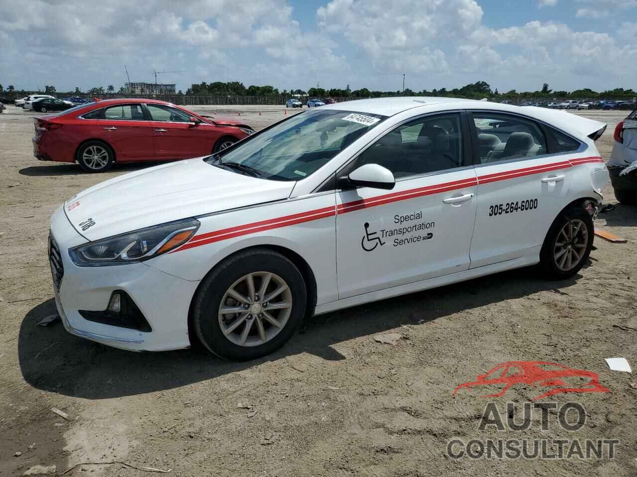 HYUNDAI SONATA 2019 - 5NPE24AF2KH772354