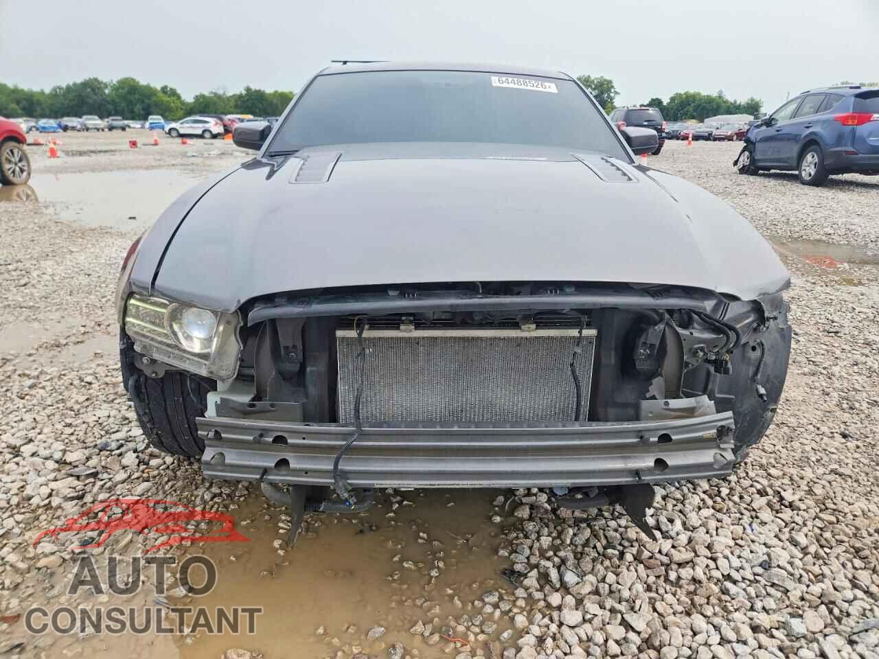 FORD MUSTANG 2013 - 1ZVBP8CF5D5231579
