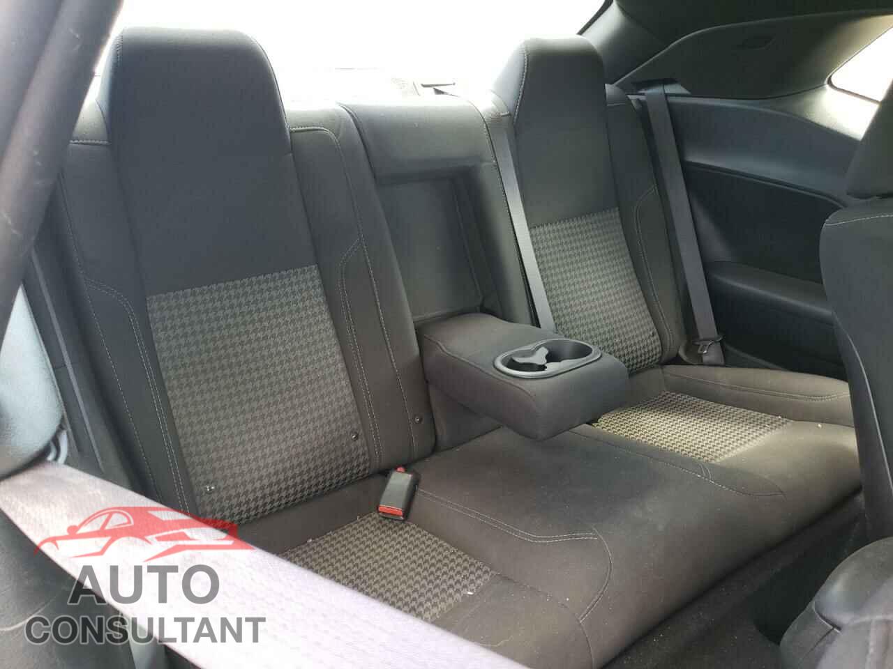 DODGE CHALLENGER 2019 - 2C3CDZAG8KH723406