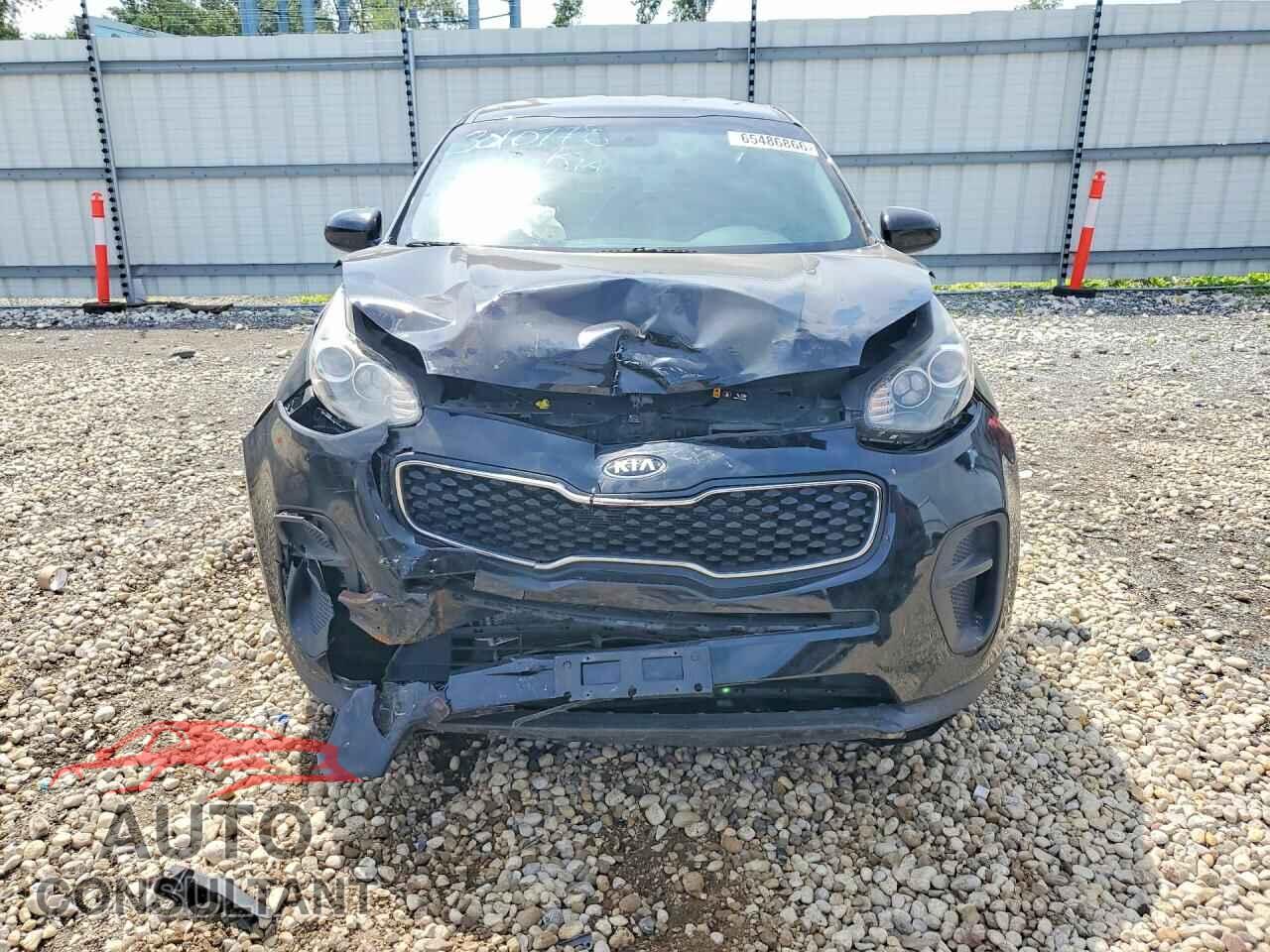 KIA SPORTAGE 2017 - KNDPM3AC8H7120175