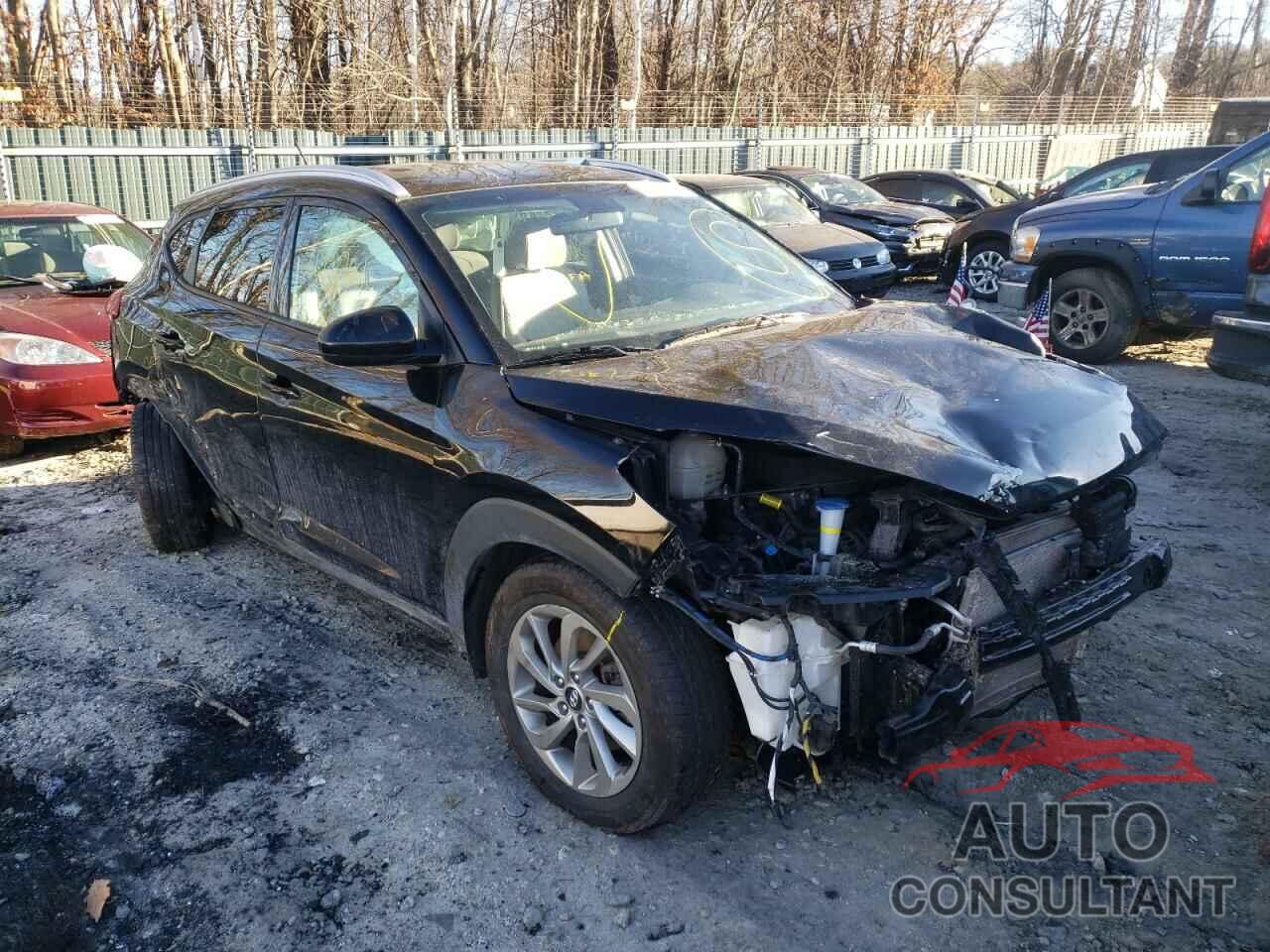 HYUNDAI TUCSON 2017 - KM8J3CA45HU566654