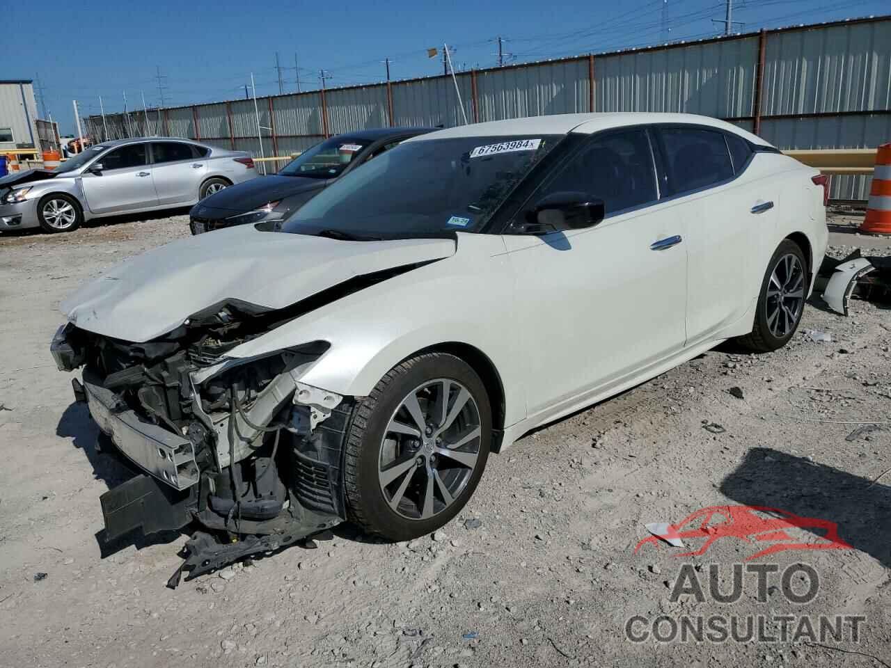 NISSAN MAXIMA 2017 - 1N4AA6AP6HC420460