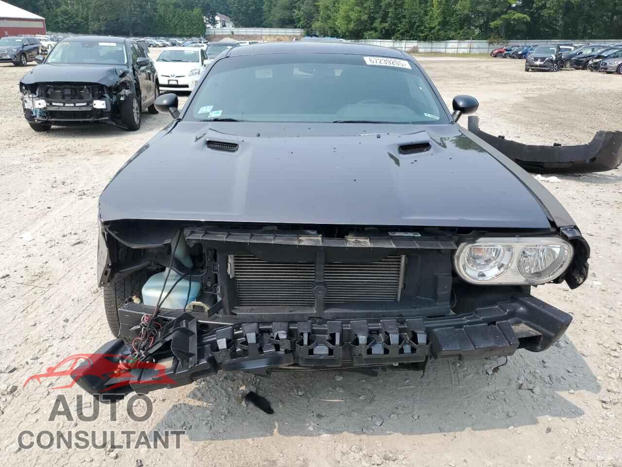 DODGE CHALLENGER 2013 - 2C3CDYAG9DH662807