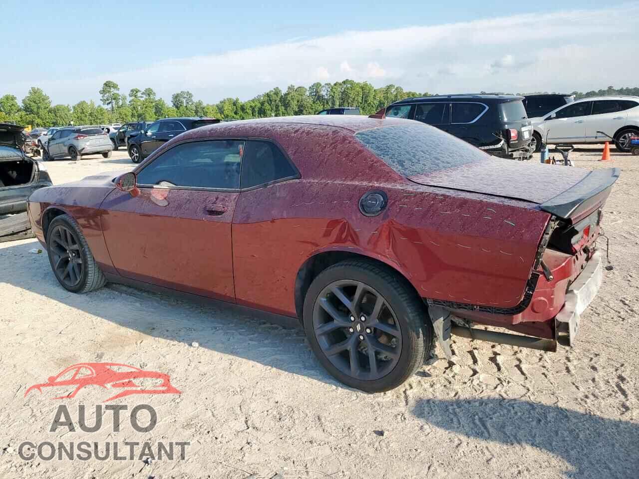 DODGE CHALLENGER 2019 - 2C3CDZAG2KH642806