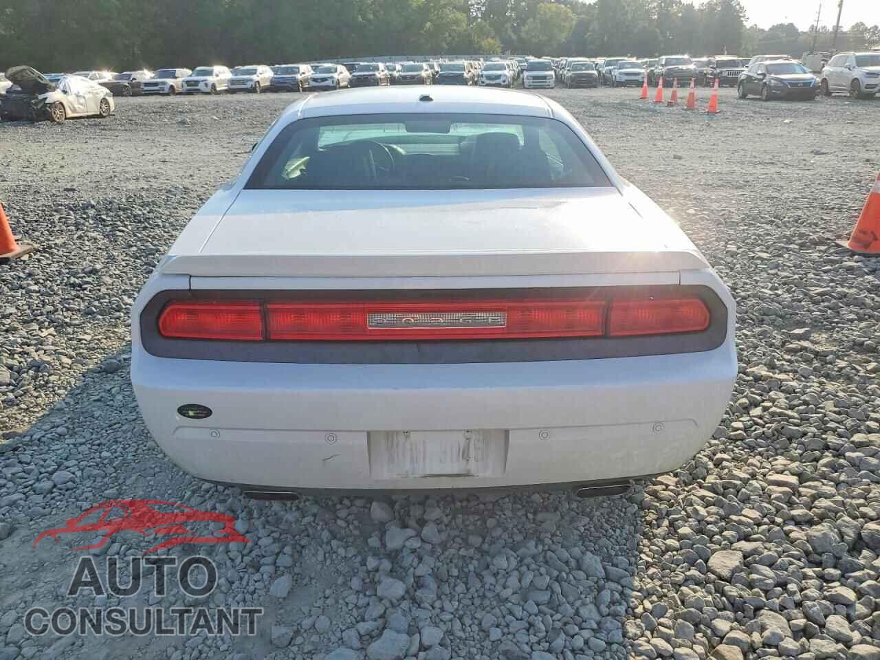 DODGE CHALLENGER 2013 - 2C3CDYAG3DH520114