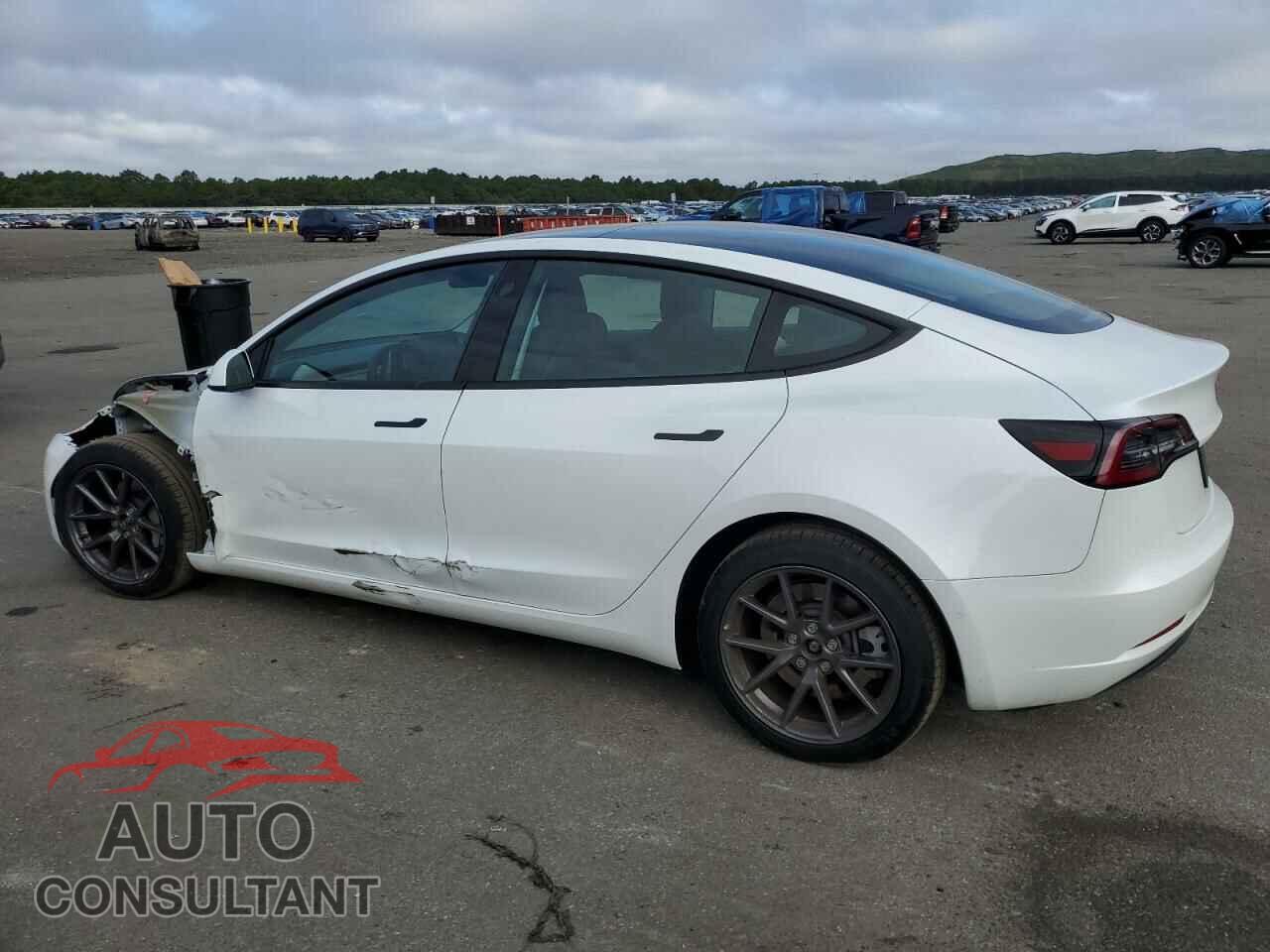 TESLA MODEL 3 2022 - 5YJ3E1EB3NF164477