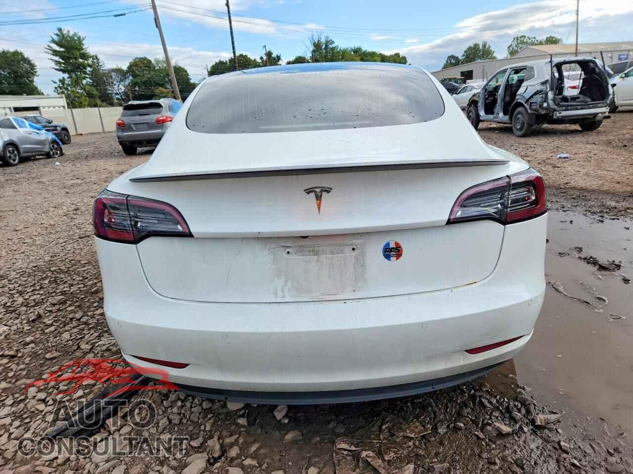 TESLA MODEL 3 2020 - 5YJ3E1EA3LF799882