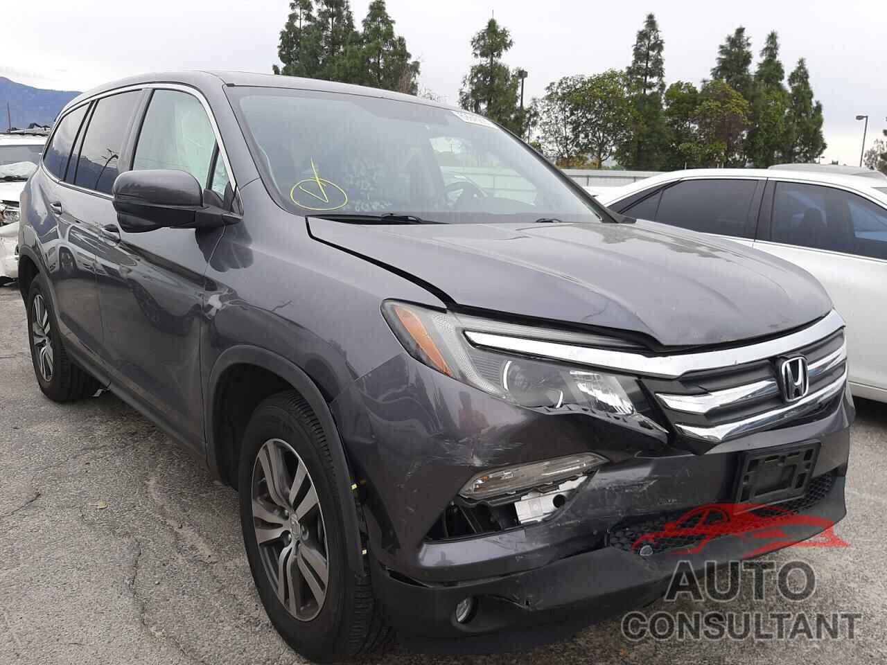 HONDA PILOT 2016 - 5FNYF5H52GB010300