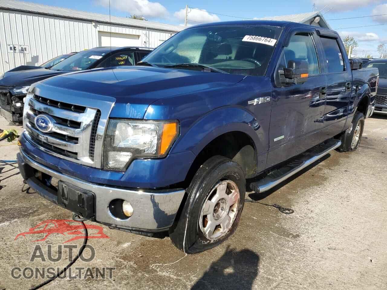 FORD F-150 2011 - 1FTFW1ET0BFB48215