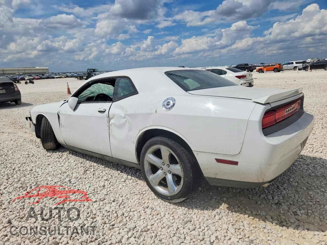 DODGE CHALLENGER 2013 - 2C3CDYAG5DH649780