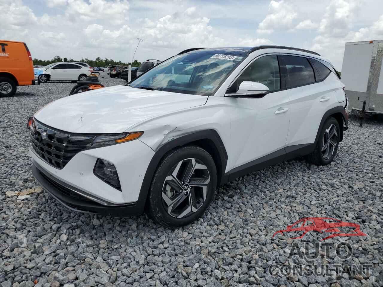 HYUNDAI TUCSON 2024 - 5NMJE3DE8RH321407
