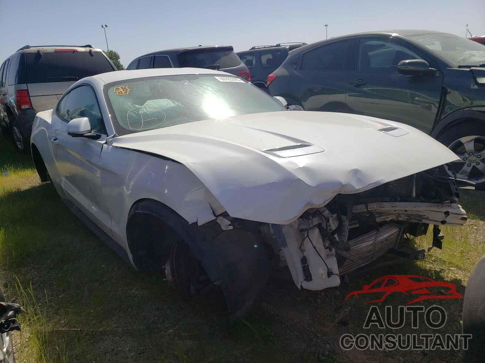 FORD MUSTANG 2019 - 1FA6P8TH0K5153222