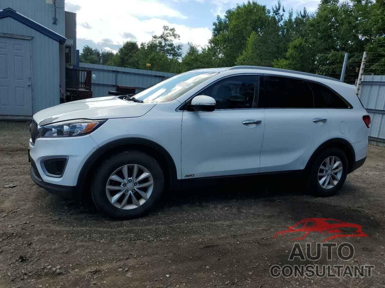 KIA SORENTO 2016 - 5XYPGDA36GG149561
