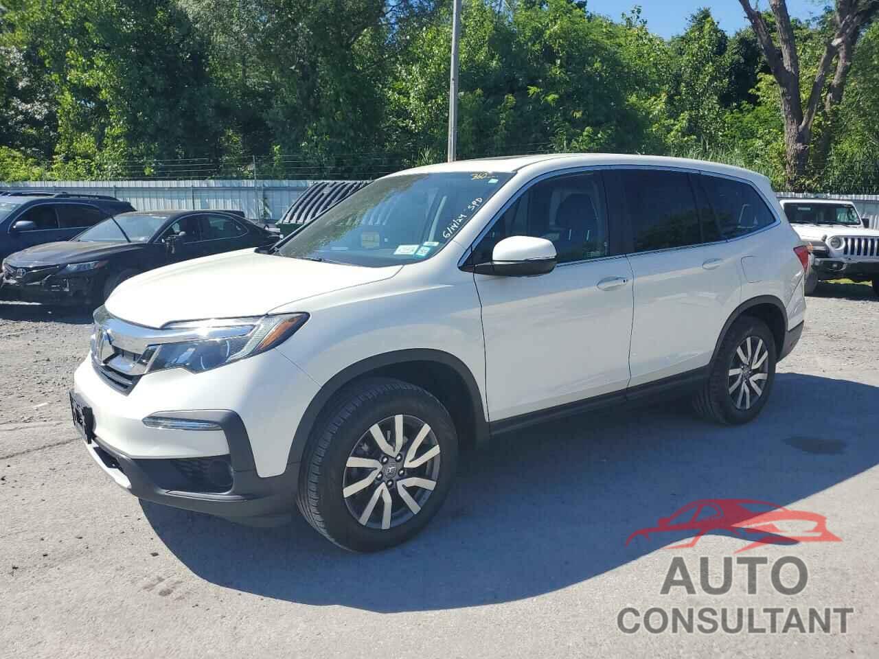 HONDA PILOT 2019 - 5FNYF6H55KB084955