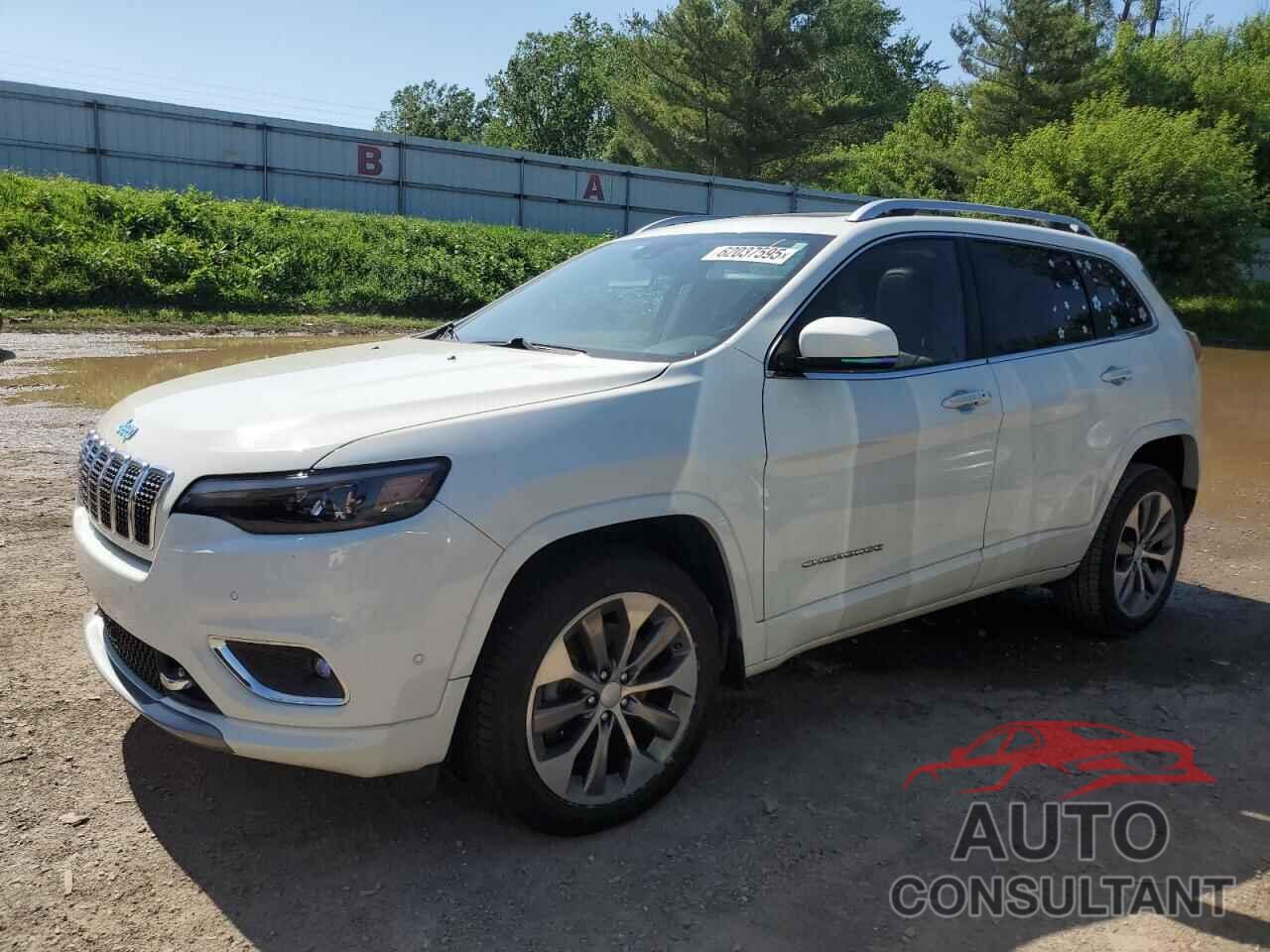 JEEP CHEROKEE 2019 - 1C4PJMJX8KD375032