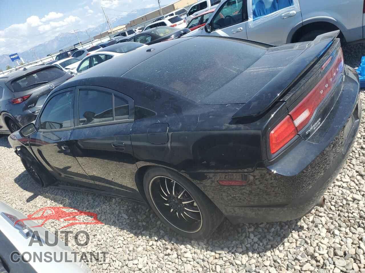 DODGE CHARGER 2014 - 2C3CDXDT7EH360758