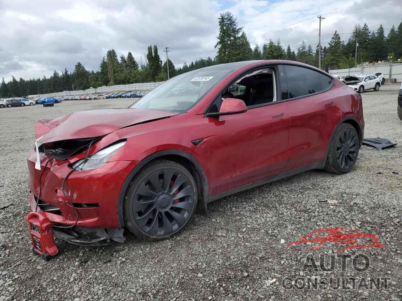 TESLA MODEL Y 2024 - 7SAYGDEF3RF193152