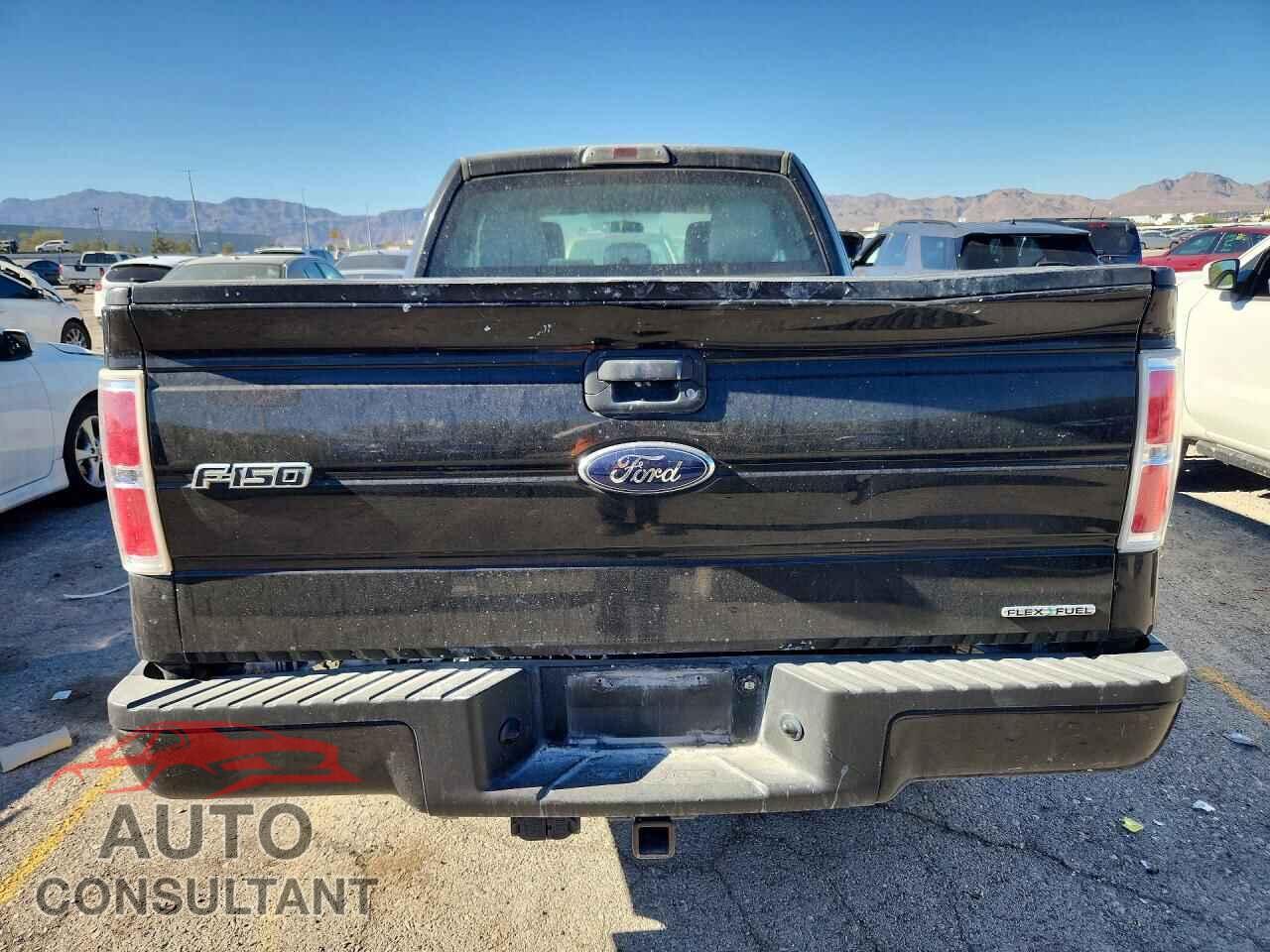 FORD F150 2013 - 1FTFX1EF7DFD04065