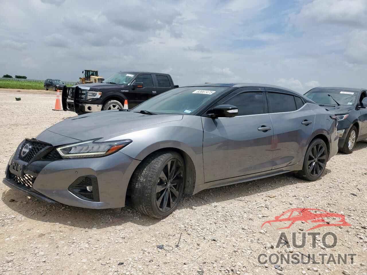 NISSAN MAXIMA 2023 - 1N4AA6EV2PC503942