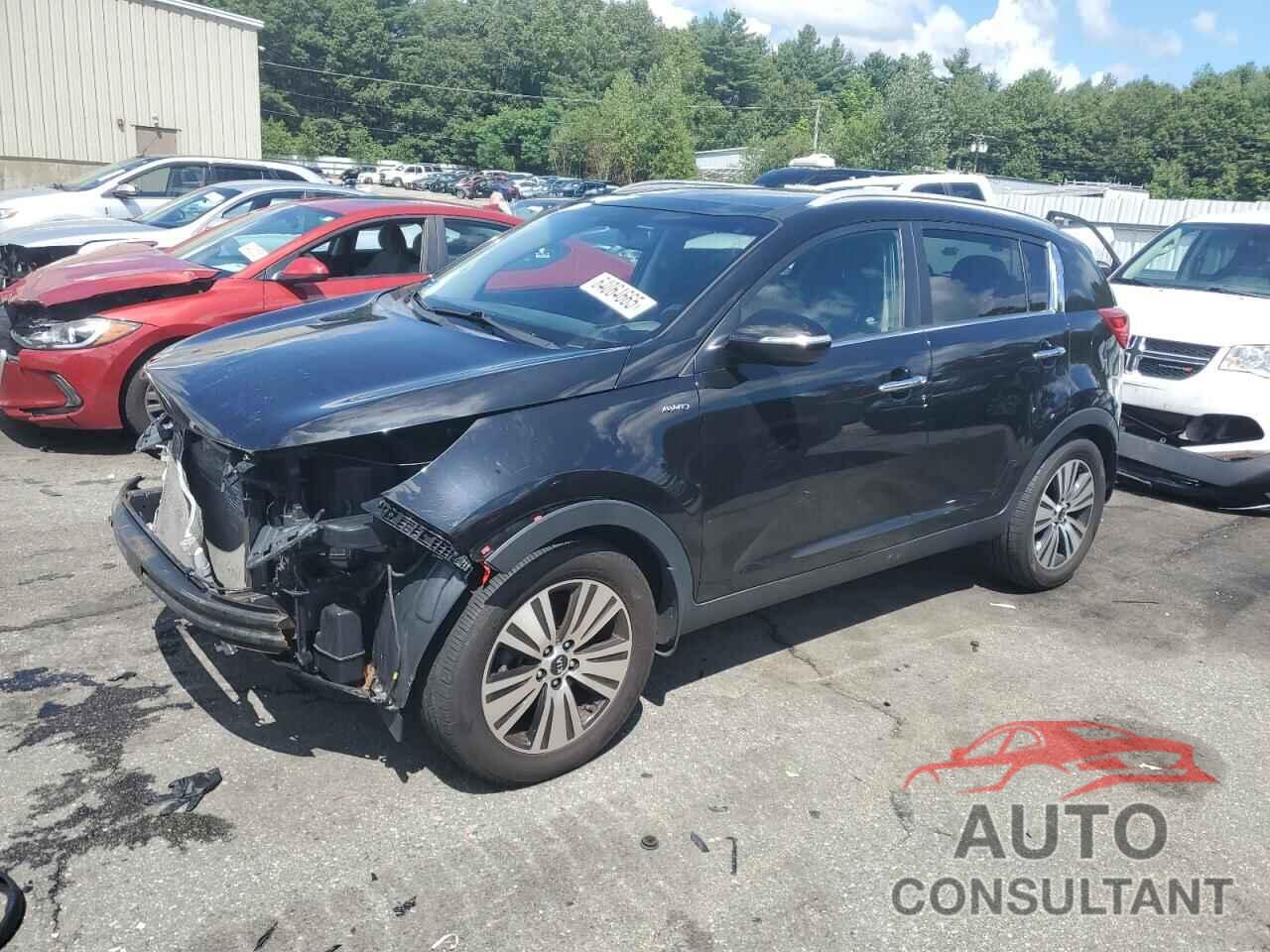 KIA SPORTAGE 2016 - KNDPCCAC8G7863565
