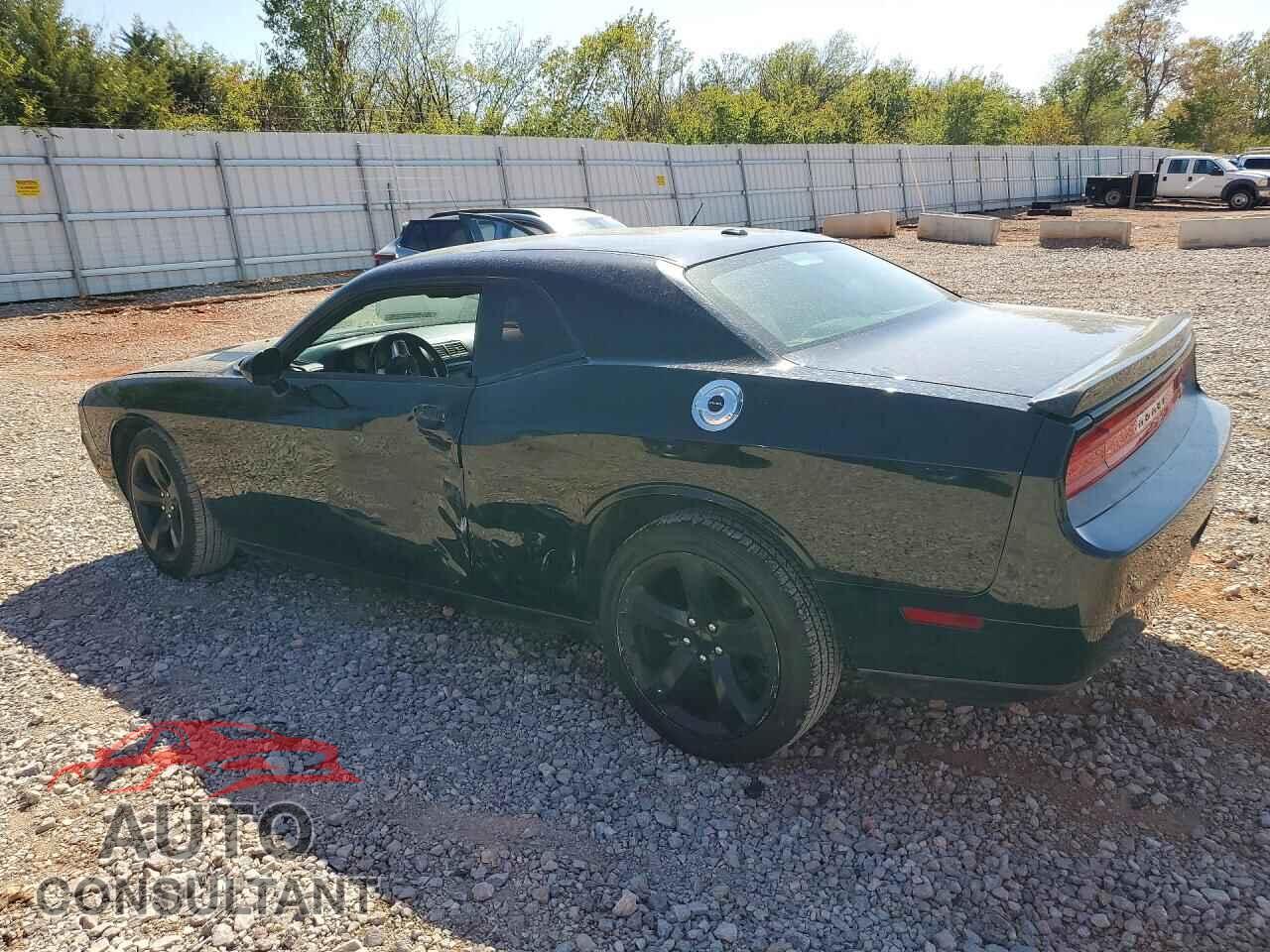 DODGE CHALLENGER 2013 - 2C3CDYAG6DH685753