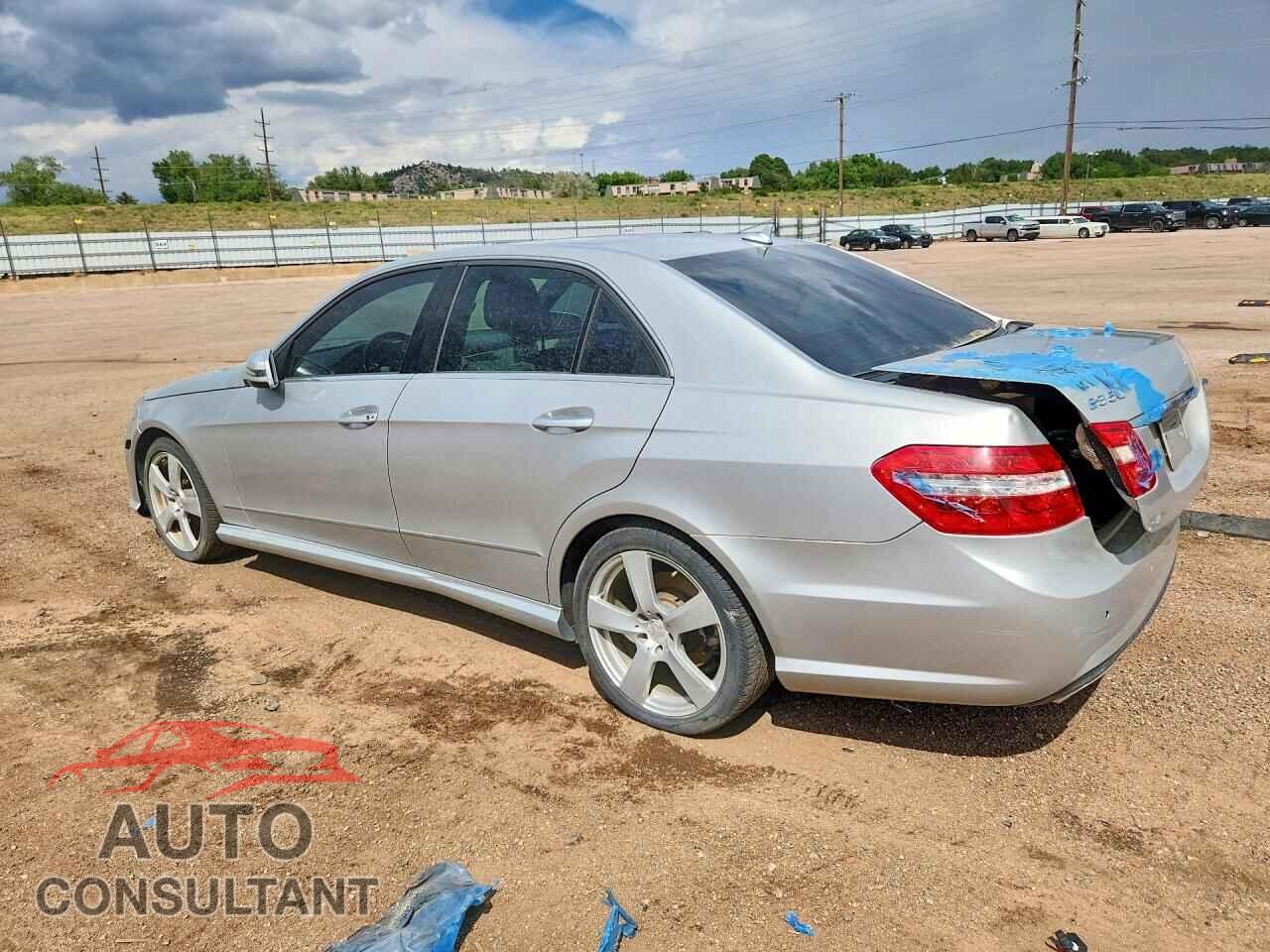 MERCEDES-BENZ E-CLASS 2010 - WDDHF8HB3AA252056