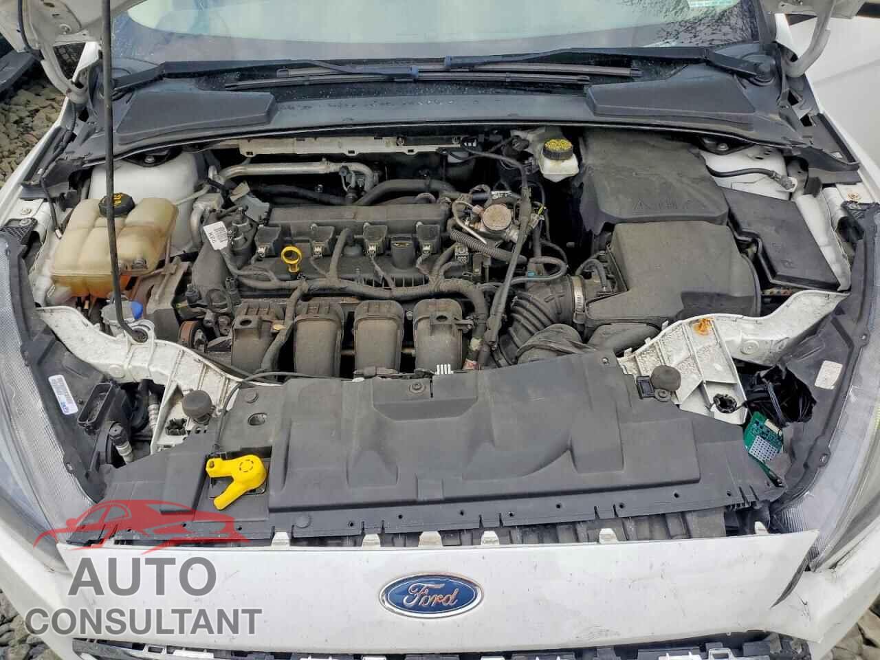 FORD FOCUS 2017 - 1FADP3M28HL330477