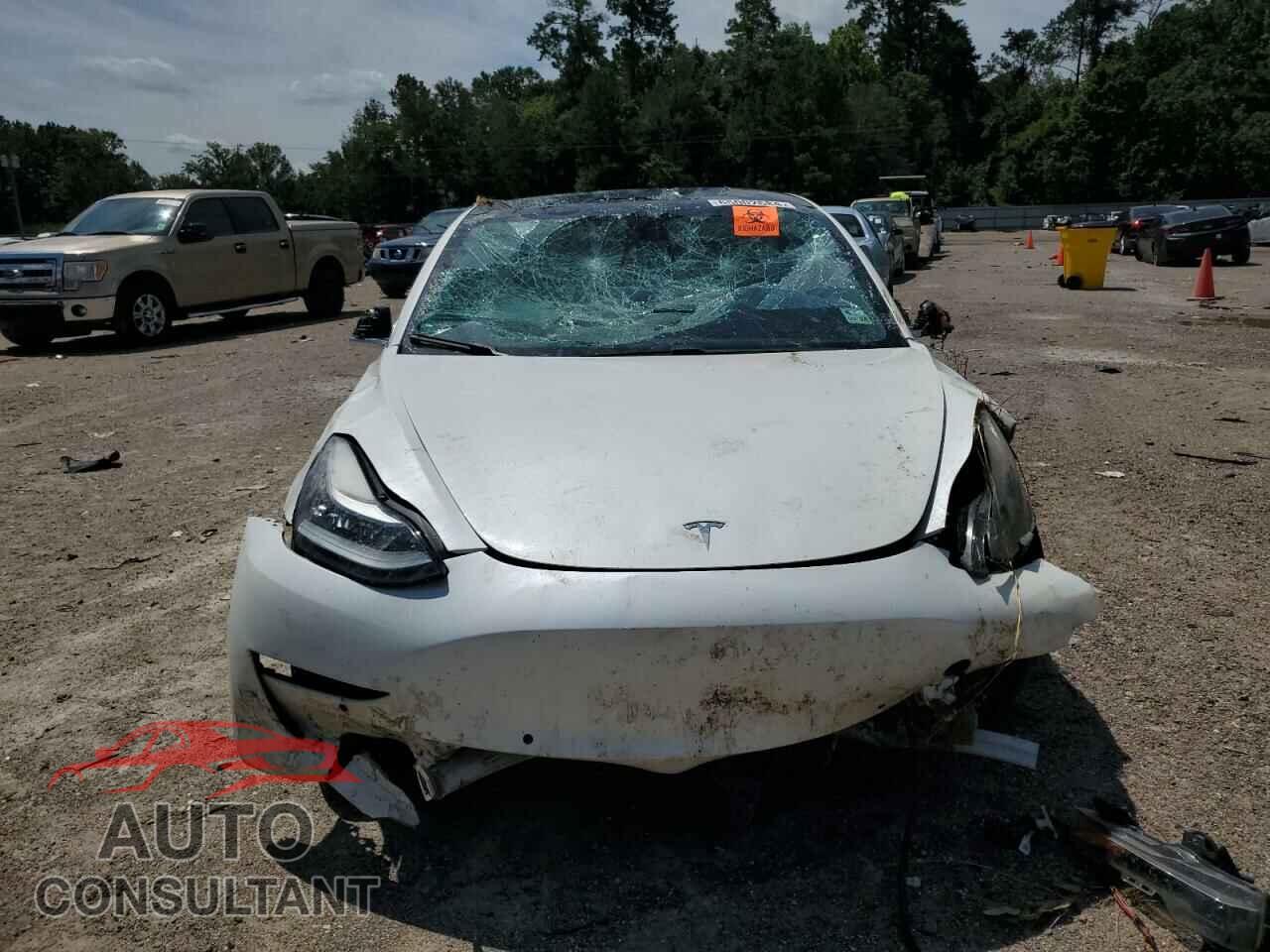 TESLA MODEL 3 2019 - 5YJ3E1EA3KF485535