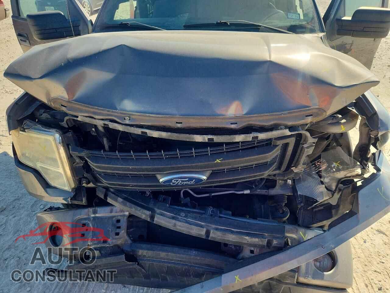 FORD F150 2013 - 1FTFX1CF5DFD81925
