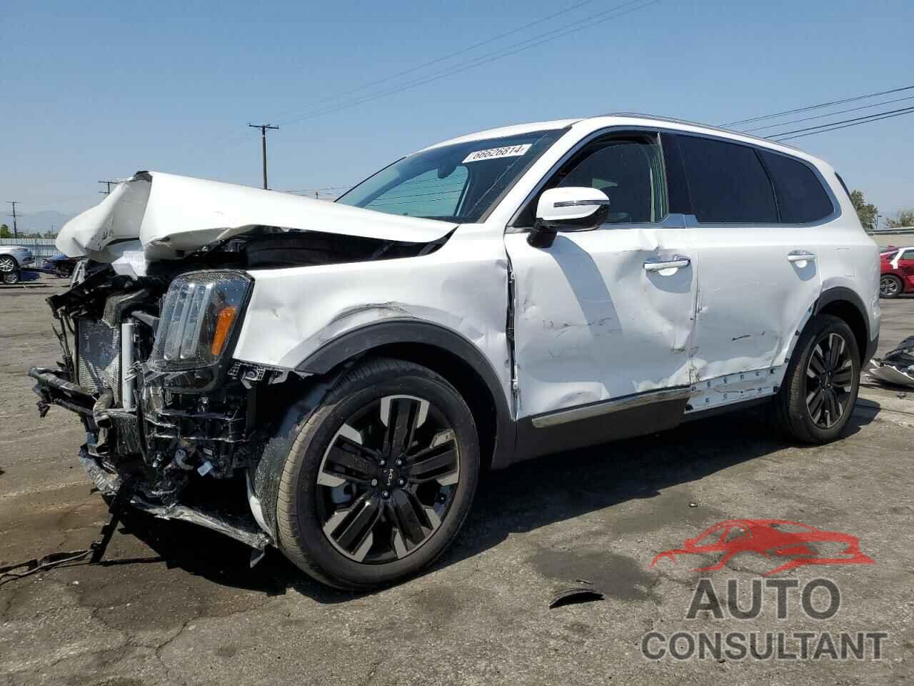 KIA TELLURIDE 2024 - 5XYP5DGC8RG518064