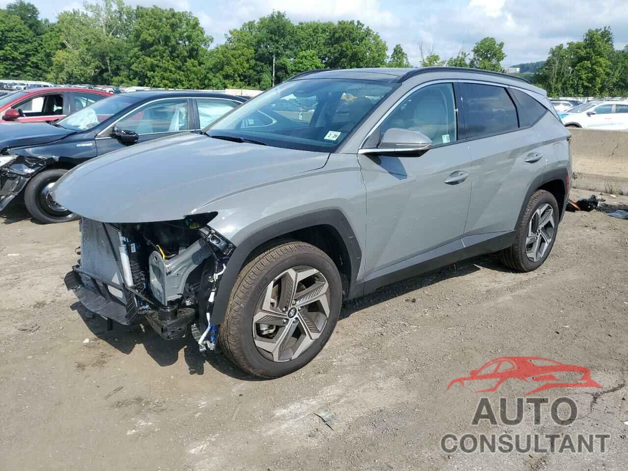 HYUNDAI TUCSON 2024 - 5NMJECDE3RH373690