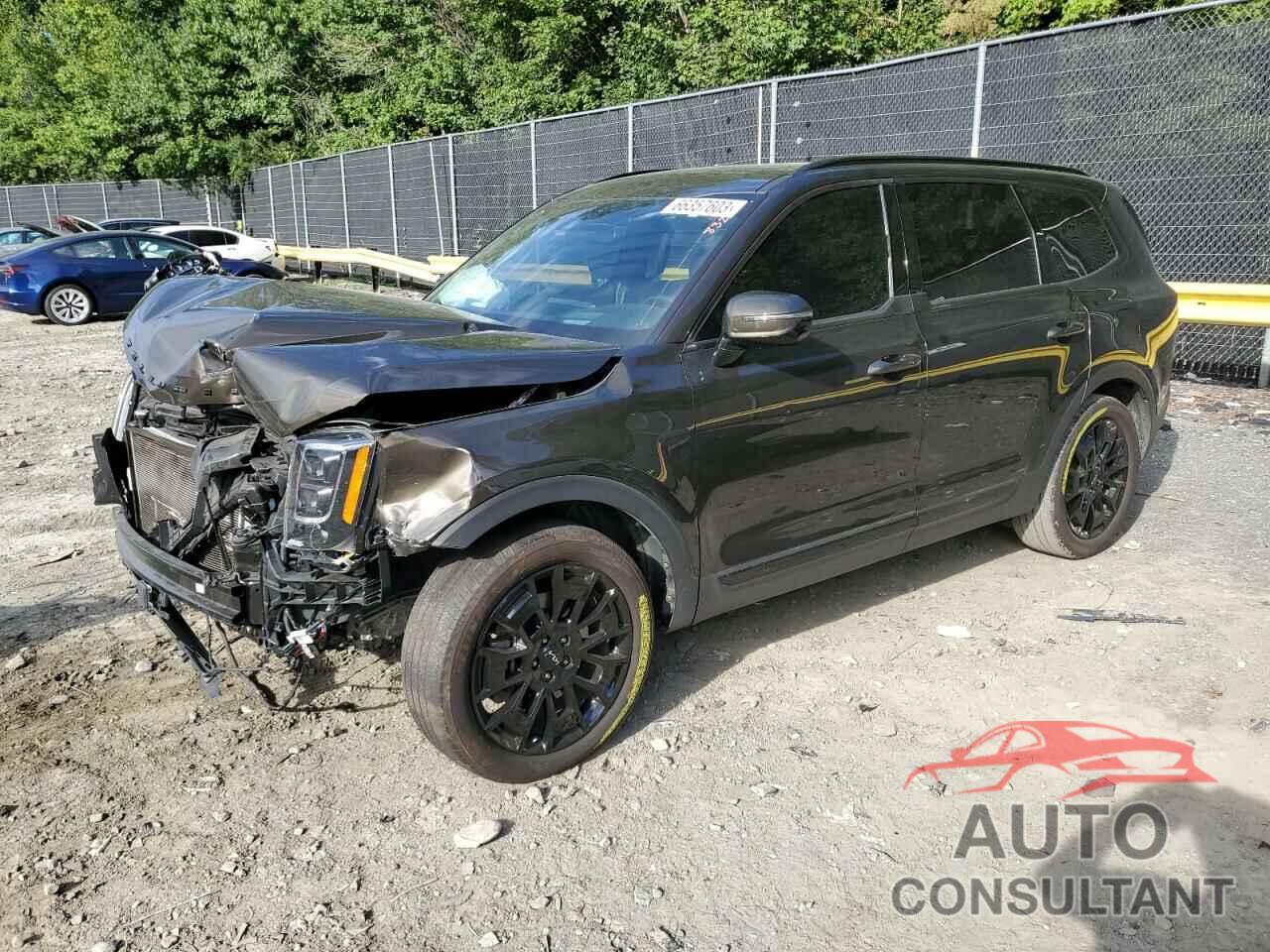 KIA TELLURIDE 2022 - 5XYP5DHC6NG227779