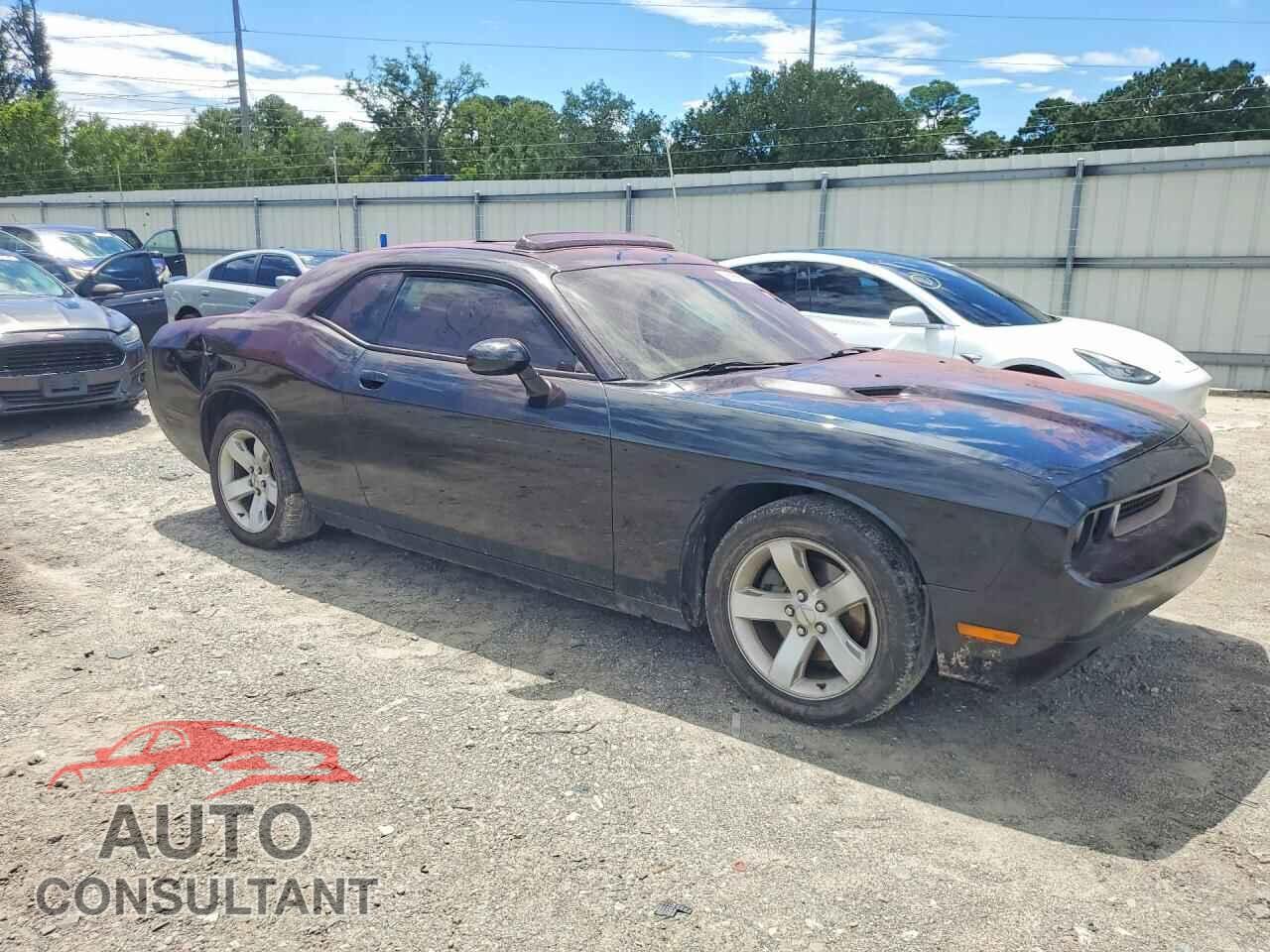 DODGE CHALLENGER 2014 - 2C3CDYAG0EH126880
