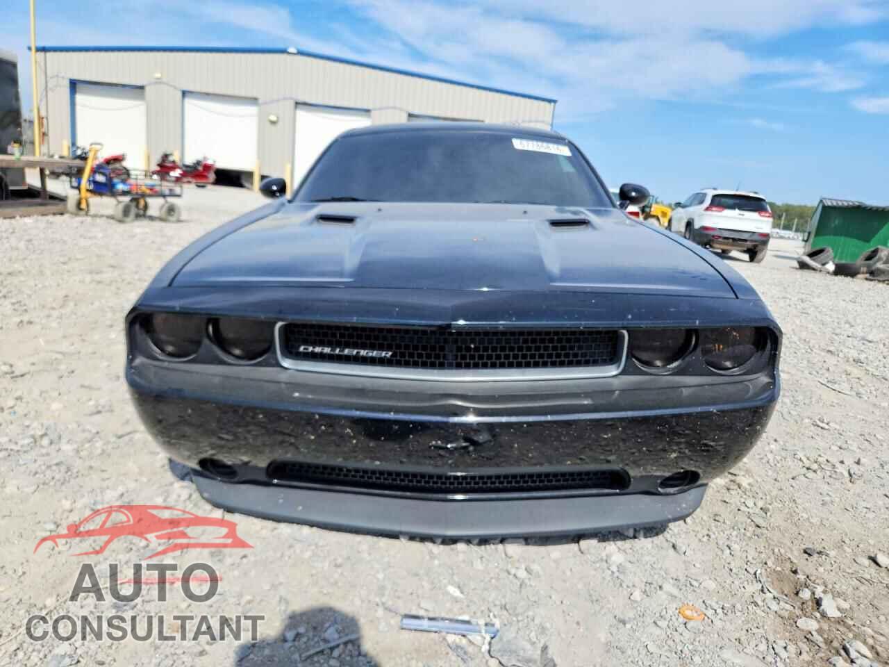 DODGE CHALLENGER 2014 - 2C3CDYAG2EH247314