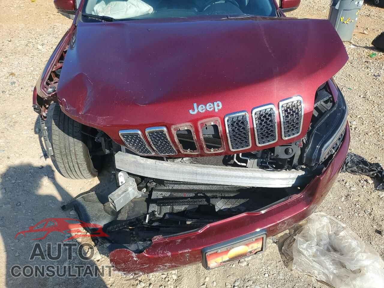 JEEP CHEROKEE 2019 - 1C4PJLDB1KD154088