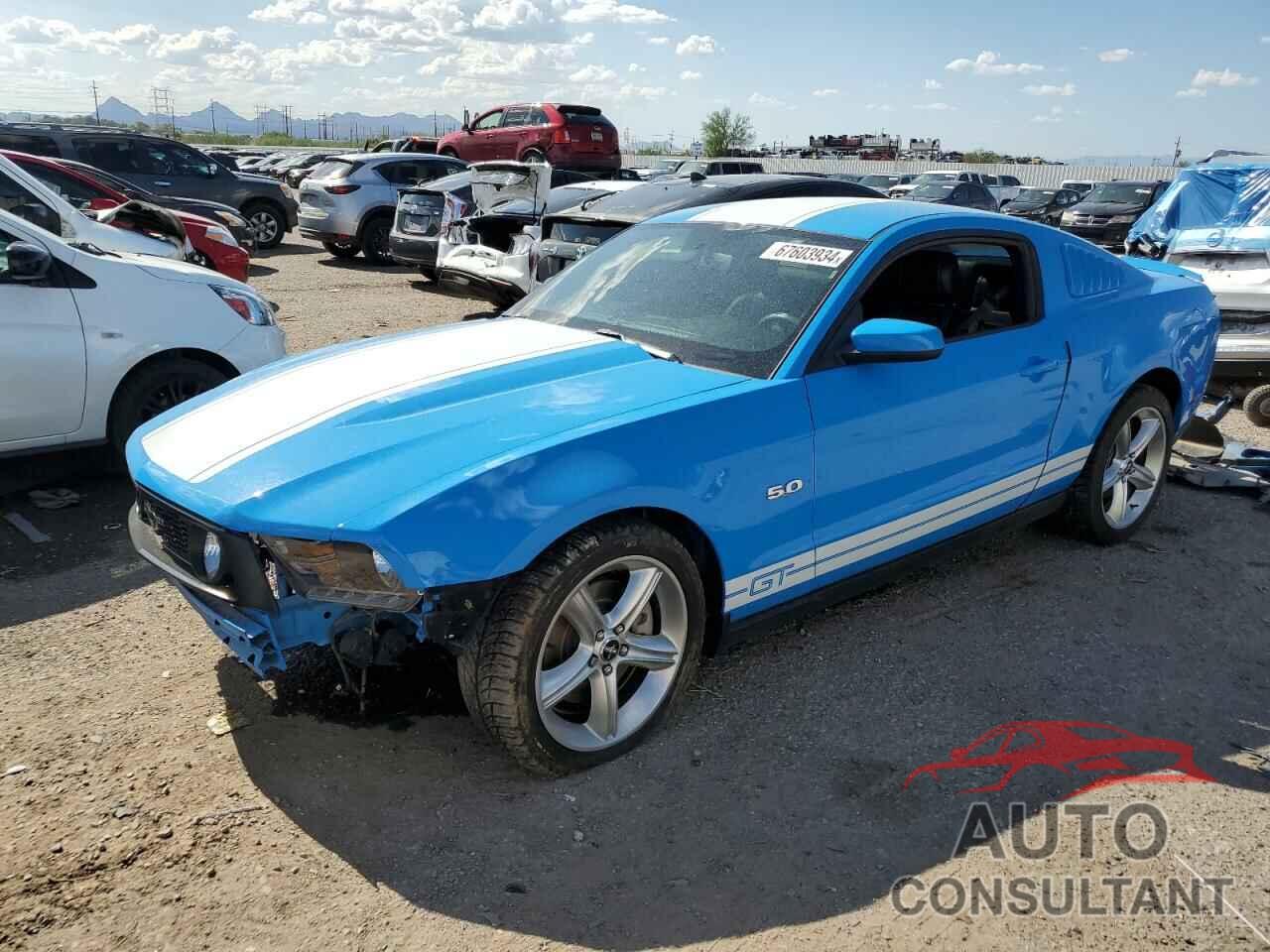 FORD MUSTANG 2012 - 1ZVBP8CF4C5256875