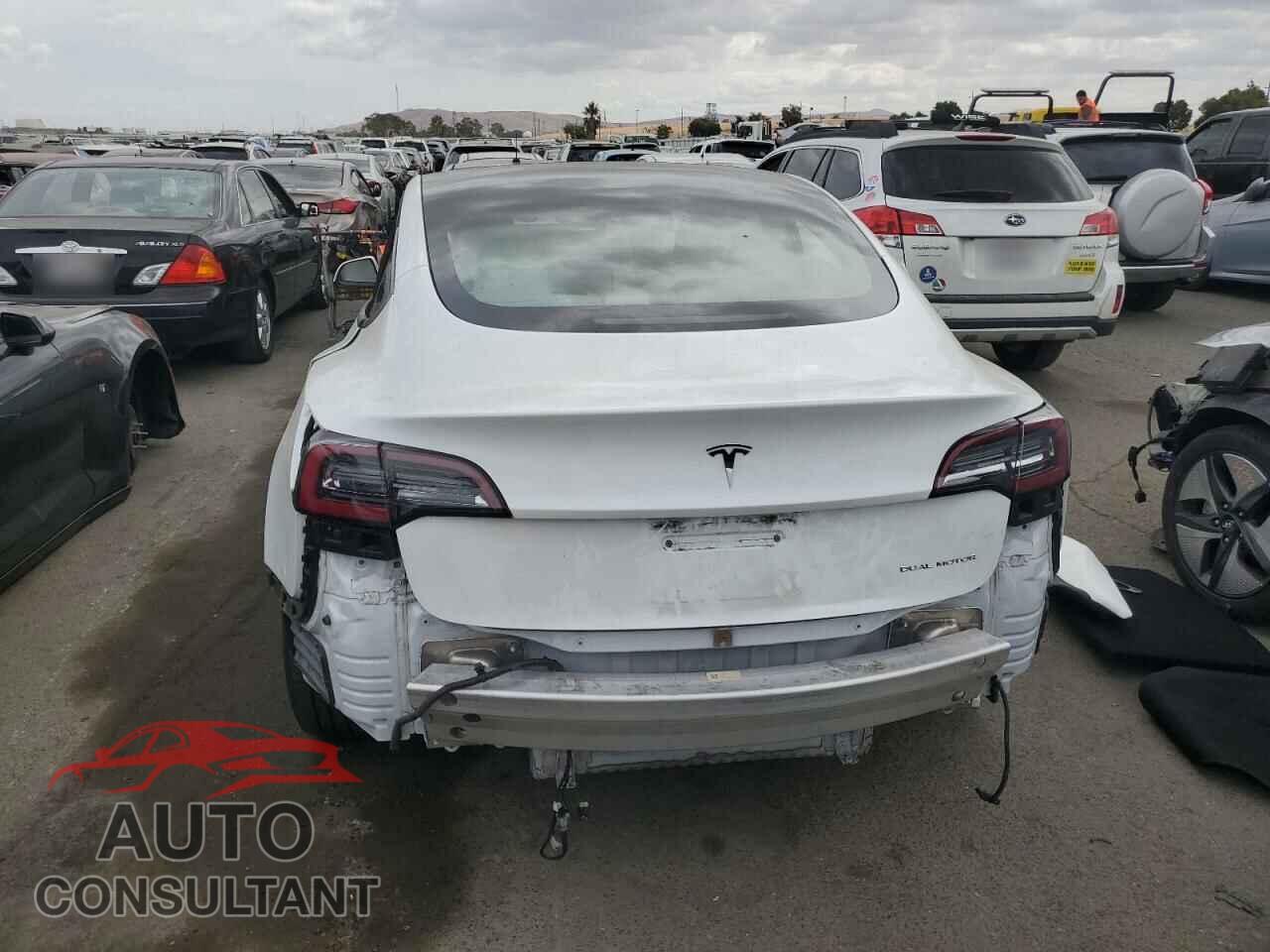 TESLA MODEL 3 2021 - 5YJ3E1EB1MF937669