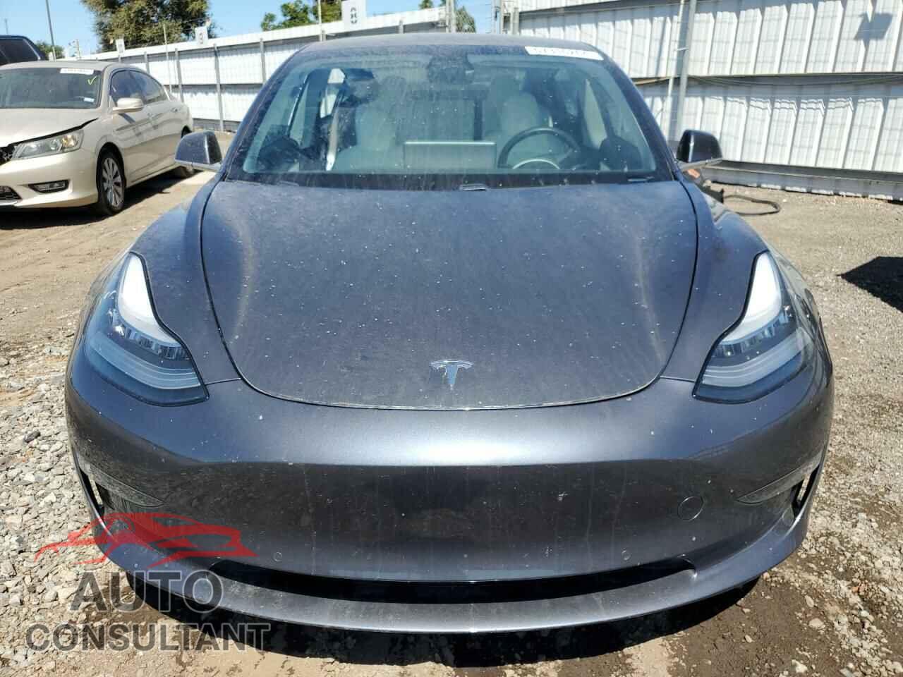 TESLA MODEL 3 2019 - 5YJ3E1EA8KF519839